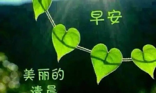 空腹运动减的是脂肪吗还是肌肉-空腹运动减的是脂肪吗网—知名的空腹运动会瘦吗网站,分享空腹运动减肥效果更好吗知识
